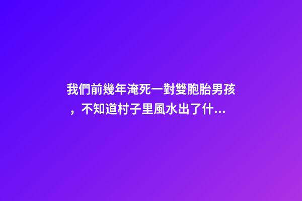 我們前幾年淹死一對雙胞胎男孩，不知道村子里風水出了什么問題導